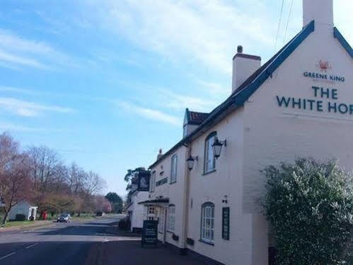 Hotel The White Horse Beyton Exterior foto
